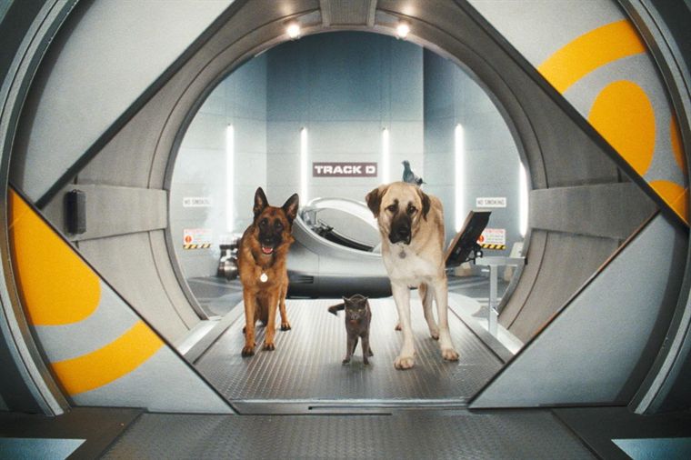 comme_chiens_chats_cap1