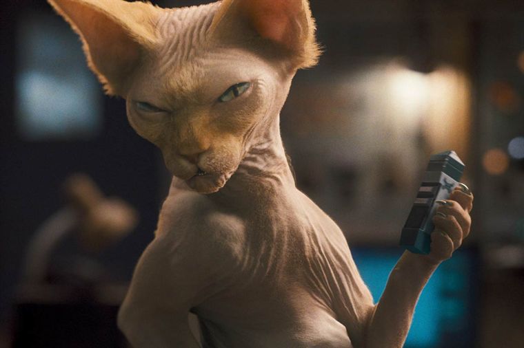 comme_chiens_chats_cap2