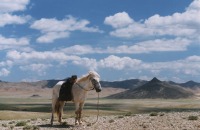 saison_cheval1