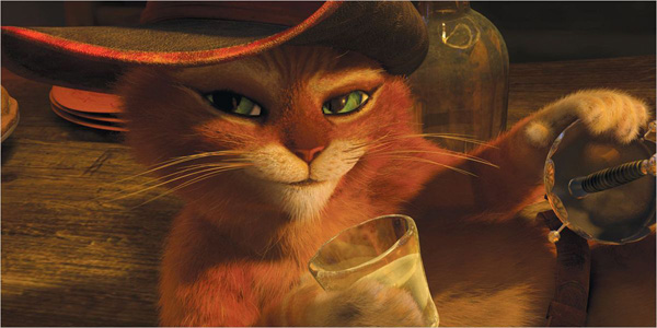 le-chat-potte01