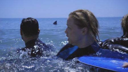 reef2