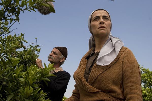 les_citronniers_cap2