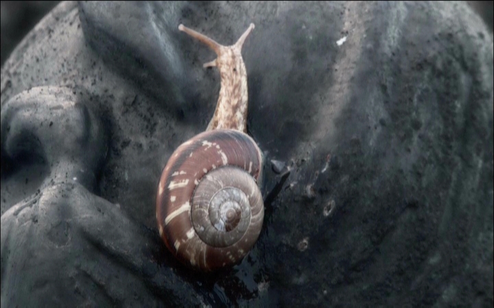 assault_girls_escargot