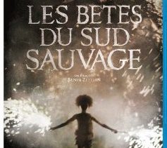 Les Bêtes du Sud sauvage en DVD et Blu-ray 14 Les Bêtes du Sud sauvage en DVD et Blu-ray