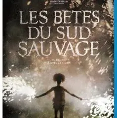 Les Bêtes du Sud sauvage en DVD et Blu-ray