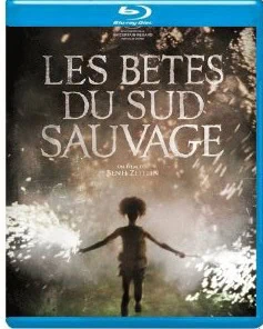 Les Bêtes du Sud sauvage en DVD et Blu-ray