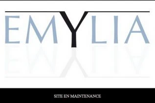 L'éditeur de DVD et blu-ray Emylia à l'arrêt temporairement 4 L'éditeur de DVD et blu-ray Emylia à l'arrêt temporairement