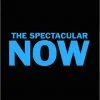 La bande annonce de The Spectacular Now