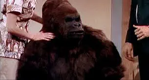 Hamburger film sandwich 5 hamburger film sandwich 03