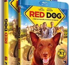 Red Dog en DVD et BD chez Condor Entertainment le 30 septembre 2013