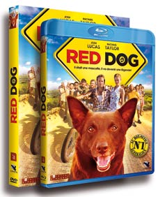 Red Dog en DVD et BD chez Condor Entertainment le 30 septembre 2013