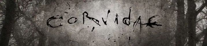 Corvidae avec Maisie Williams (Game of Thrones) sur Indiegogo