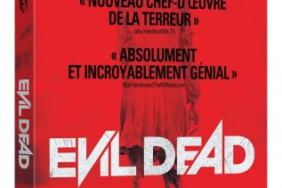 Evil dead (2013)