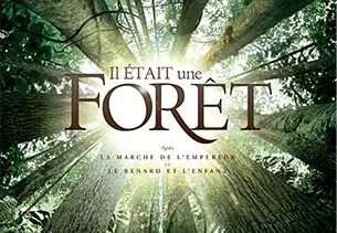 Ouverture et clôture du Festival Biarritz Amérique Latine 16 Ouverture et clôture du Festival Biarritz Amérique Latine