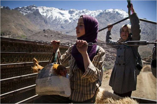 sur le chemin de l'école 01