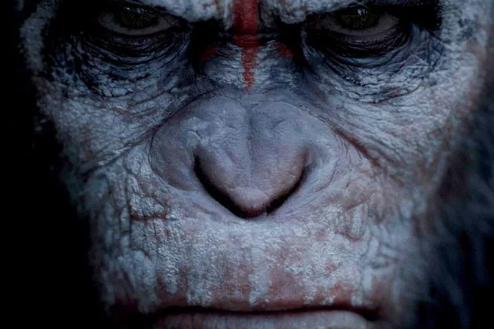 Nouveau trailer de Dawn of the Planet of the Apes 9 Nouveau trailer de Dawn of the Planet of the Apes