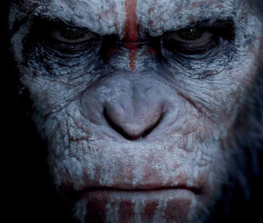 Nouveau trailer de Dawn of the Planet of the Apes
