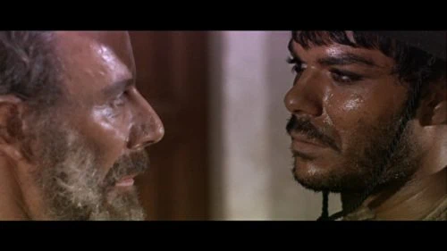 Le temps des vautours (4)