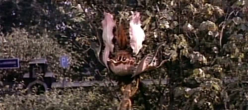 La révolte des Triffides 5 la revolte des triffides 02