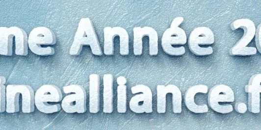 Bonne année 2015