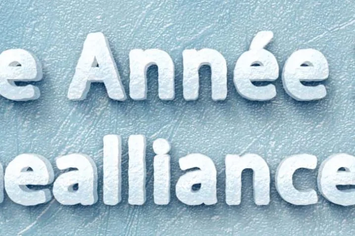 Bonne année 2015 15 Bonne année 2015