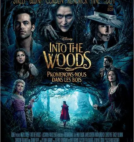Into the Woods, Promenons-nous dans les bois 15 Into the Woods, Promenons-nous dans les bois