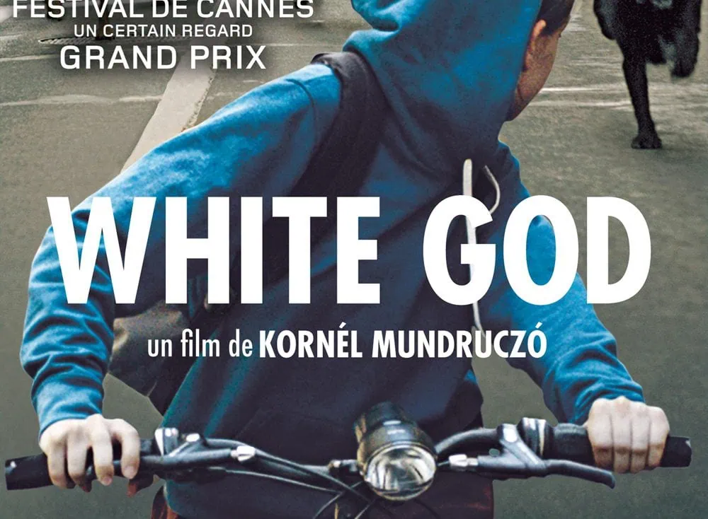 White God en DVD le 15 avril 2015