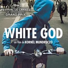 White God en DVD le 15 avril 2015