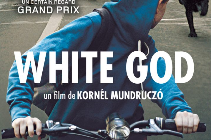 White God en DVD le 15 avril 2015 6 White God en DVD le 15 avril 2015