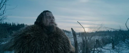 The Revenant : le test blu-ray 4 therevenantphoto2