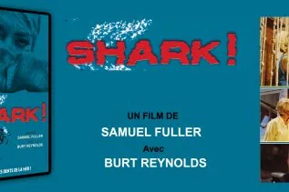 ARRRIVA DORELLIK, SHARK et DR MABUSE CONTRE LE RAYON DE LA MORT : 3 petites merveilles bientôt disponibles chez Bach Films 2 ARRRIVA DORELLIK, SHARK et DR MABUSE CONTRE LE RAYON DE LA MORT : 3 petites merveilles bientôt disponibles chez Bach Films