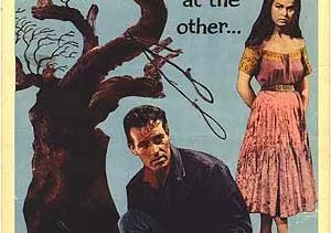 La Vengeance De L'Indien : le test DVD 2 La Vengeance De L'Indien : le test DVD