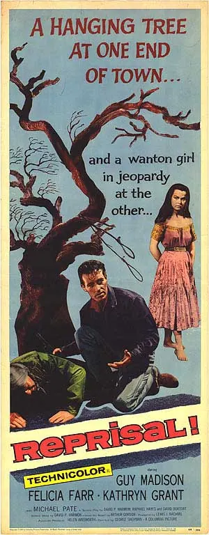 La Vengeance De L'Indien : le test DVD