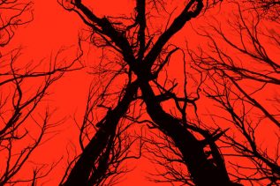 Vidéos virales de Blair Witch