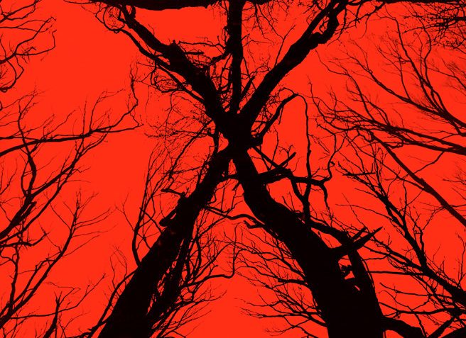 Vidéos virales de Blair Witch