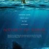 Instinct de survie - The Shallows