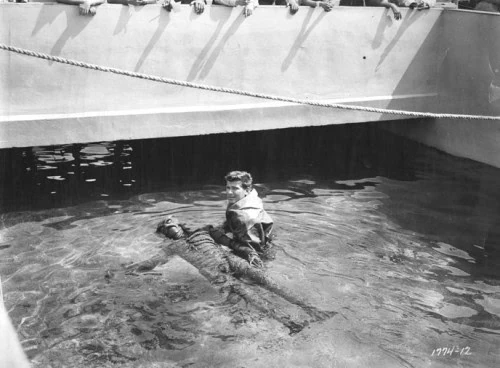 la revanche de la creature 02