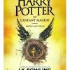 Harry Potter et l'enfant maudit, notre avis sur le dernier tome de la saga!