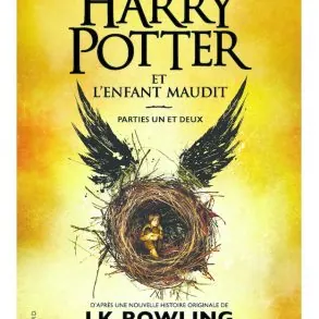 Harry Potter et l'enfant maudit, notre avis sur le dernier tome de la saga!