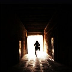 Avis sur Zone 52 de Suzanne Stock