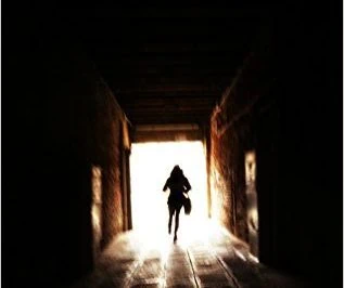 Avis sur Zone 52 de Suzanne Stock