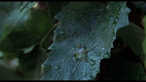 L'invasion des profanateurs