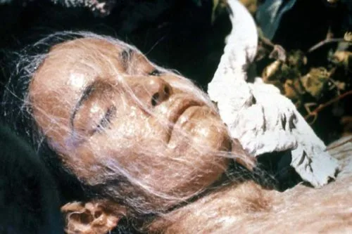 L'invasion des profanateurs