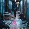 The Villainess
