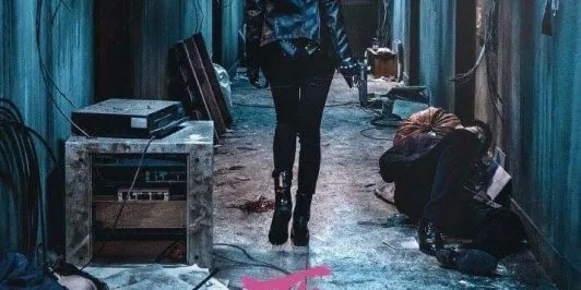The Villainess