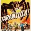 Tarantula