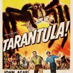 Tarantula