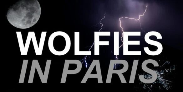 Wolfies in Paris 2017 : dernier panel en vidéo de la convention Teen Wolf à Paris!