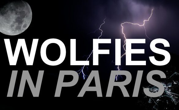 Wolfies in Paris 2017 : troisième panel en vidéo de la convention Teen Wolf!
