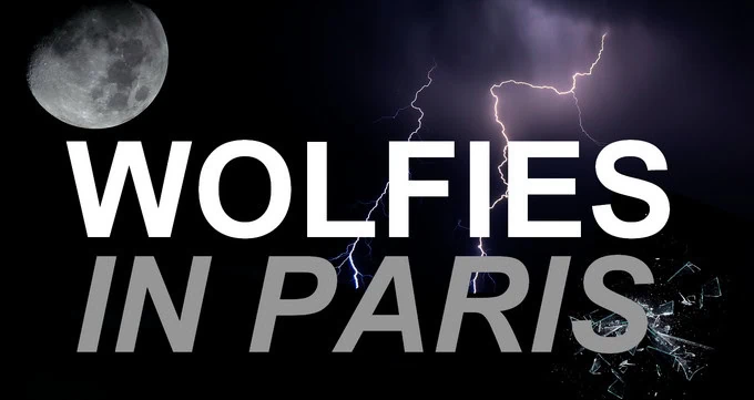 Wolfies in Paris 2017 : dernier panel en vidéo de la convention Teen Wolf à Paris!